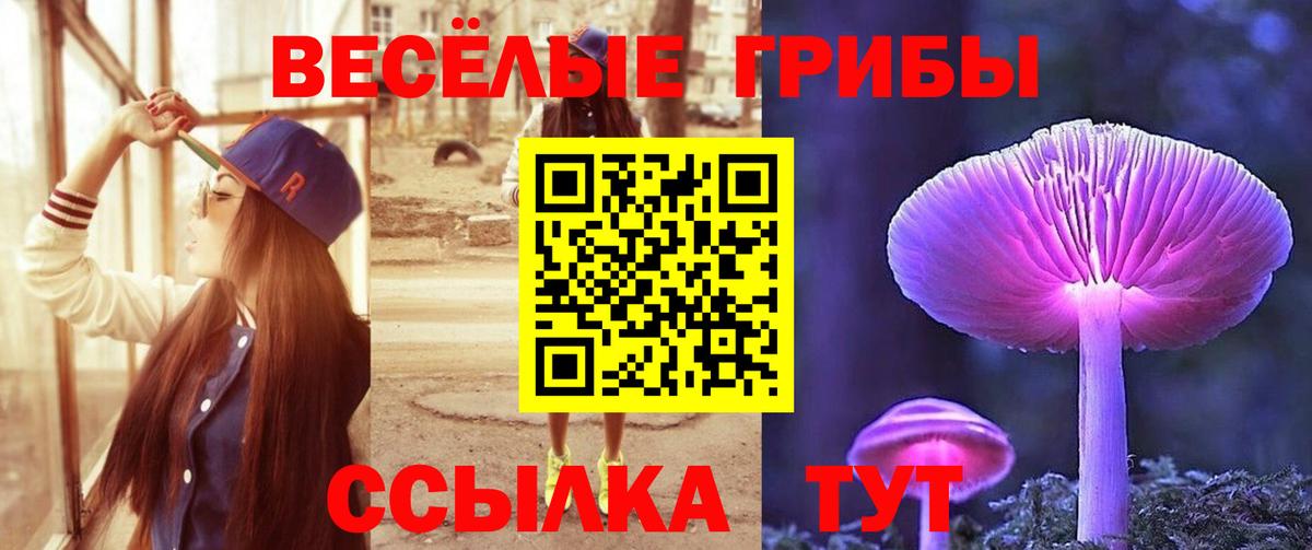 Галлюциногенные грибы Magic Shrooms  Псилоцибиновые грибы мицелий  Комсомольск-на-Амуре  Вход с VPN 